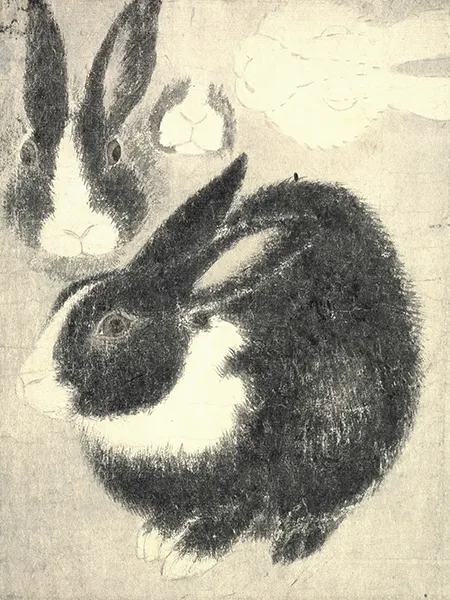 円山応挙《写生図巻(甲巻)》(部分) 1771-72年 千總ホールディングス蔵