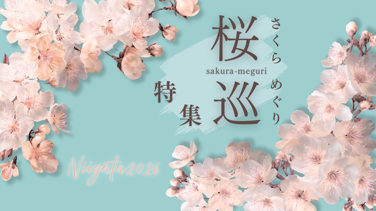 桜特集2026