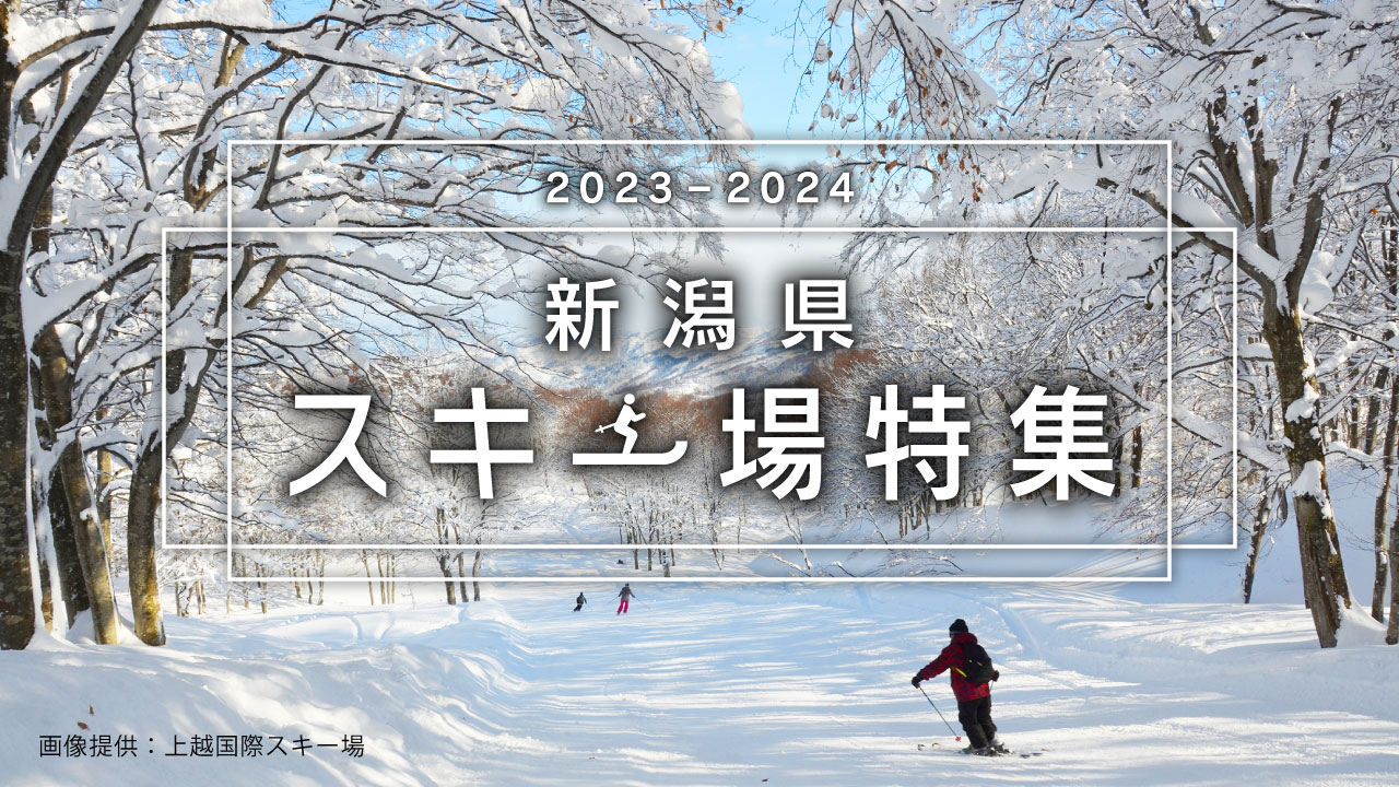 新潟県イルミネーション特集